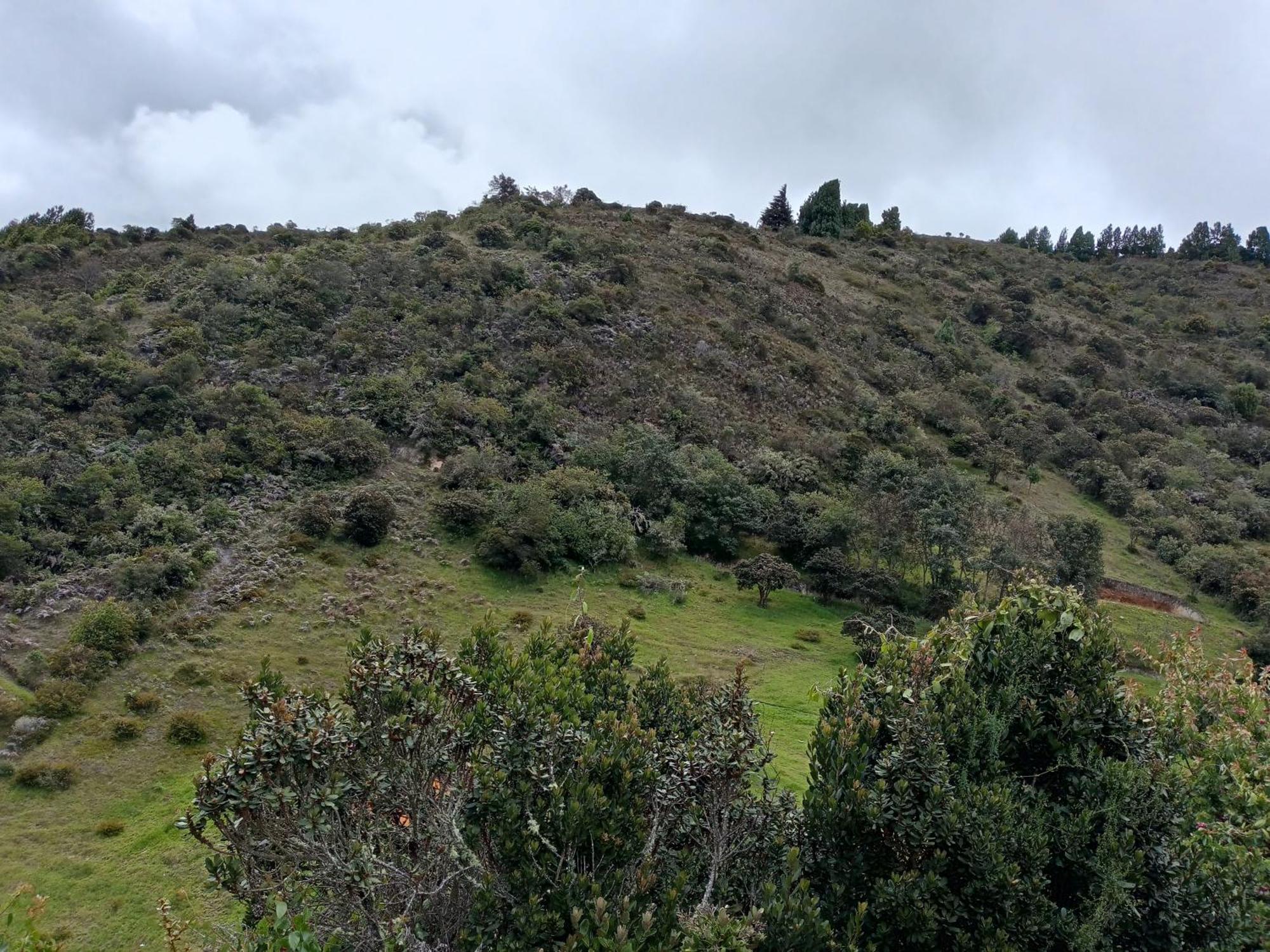Campismo de Luxo Glampin La Esperanza